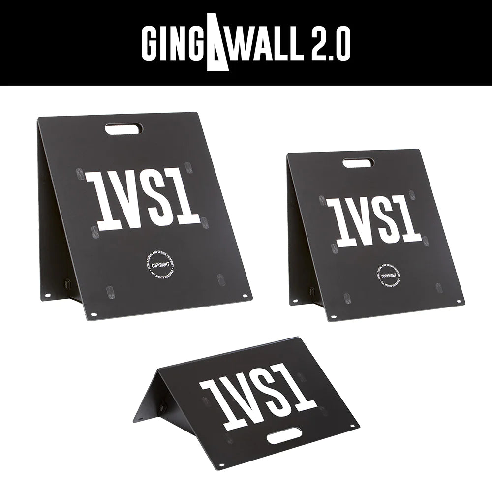 1VS1 - GingaWall